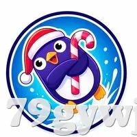 安全登录器